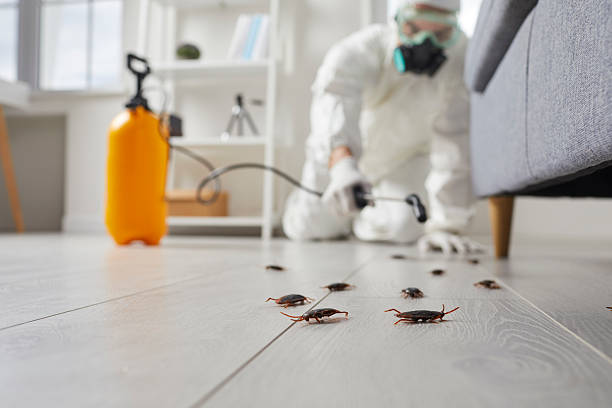 Commercial Kitchen Cockroach Control in Lakeland North